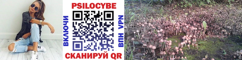 Псилоцибиновые грибы Cubensis Белово